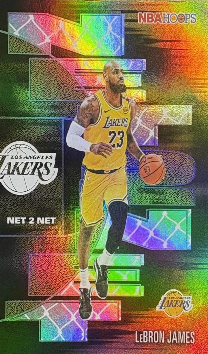 LeBron James #NTN-17