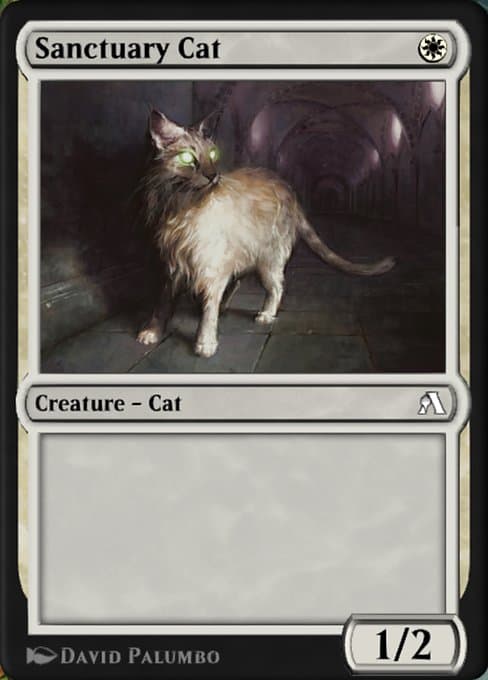 Sanctuary Cat #19
