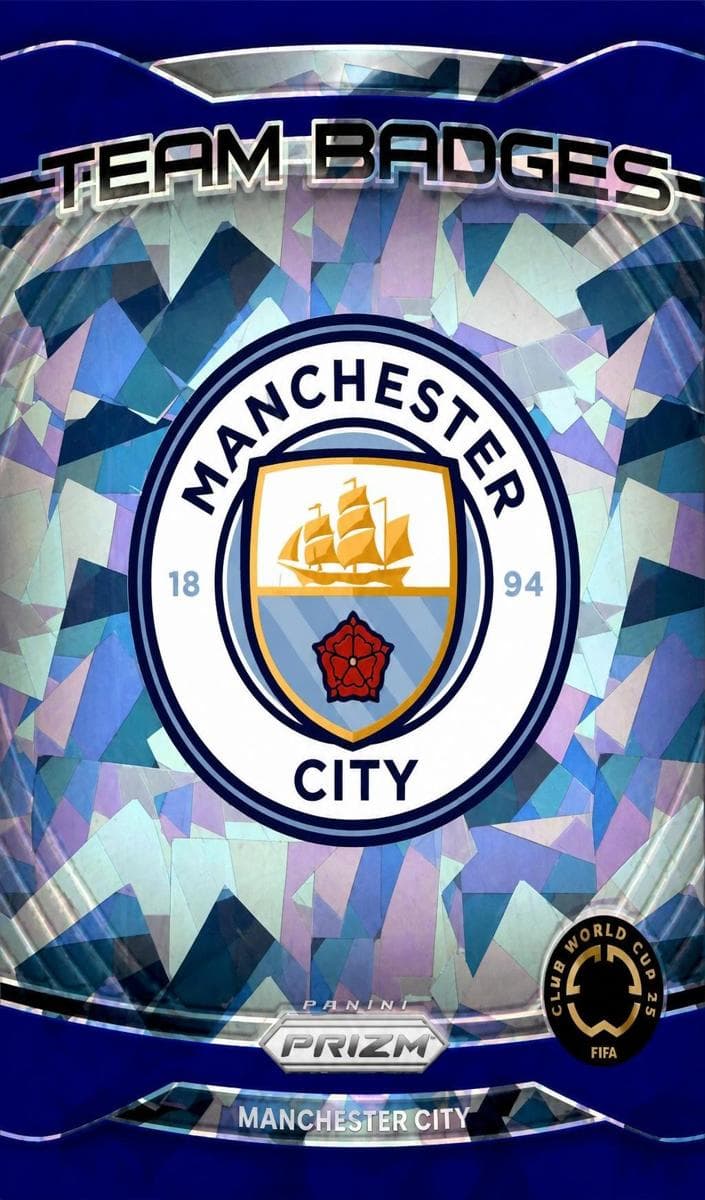 Aleksandar Mitrovic trading card