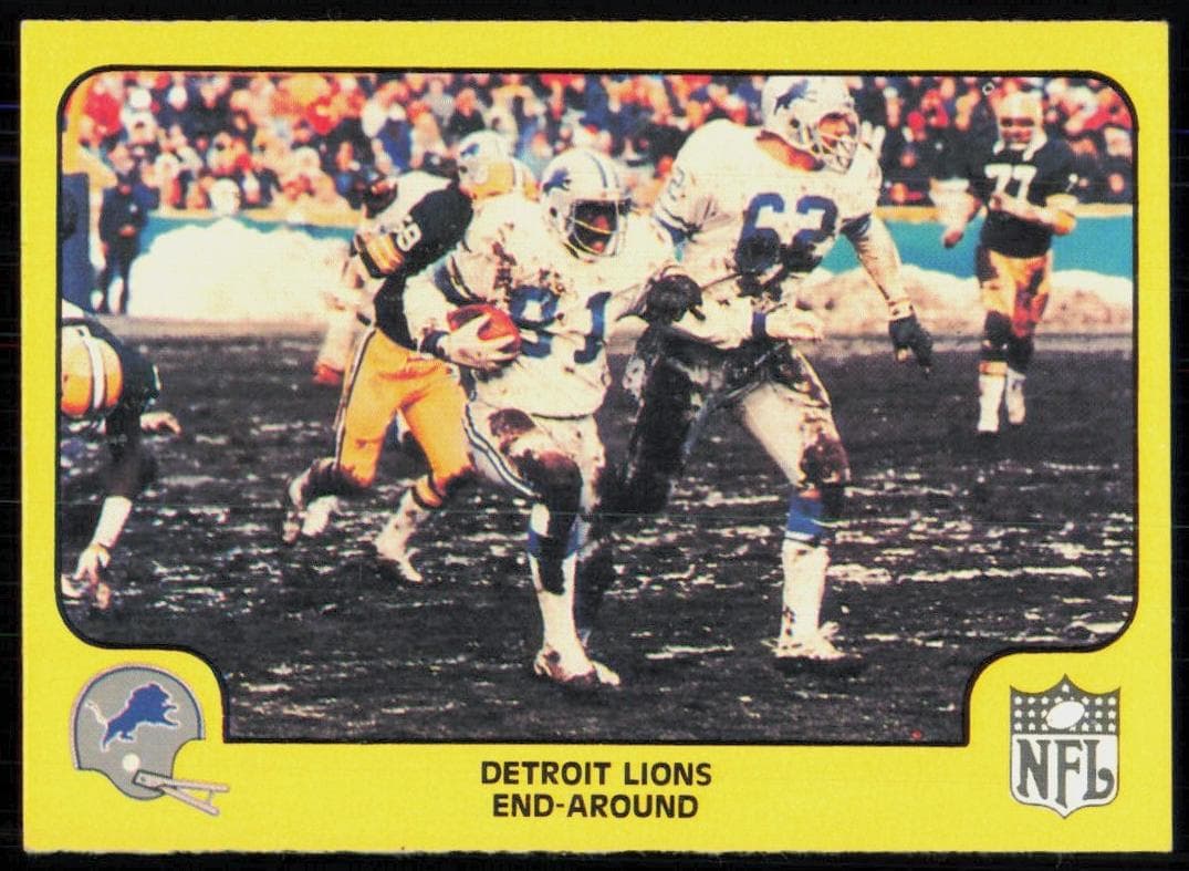 Detroit Lions #17
