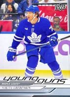 Nikita Grebenkin trading card