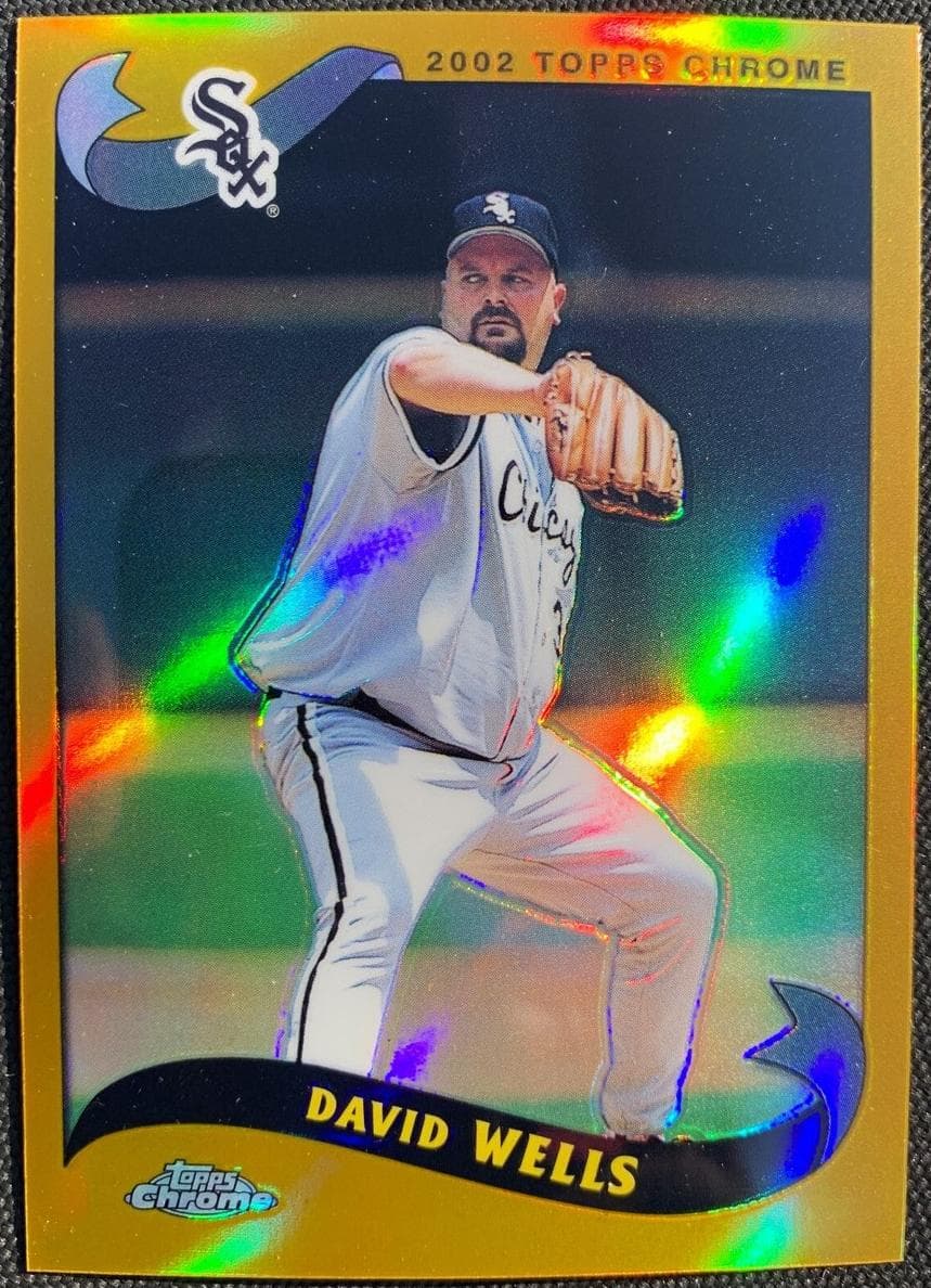 David Wells #205