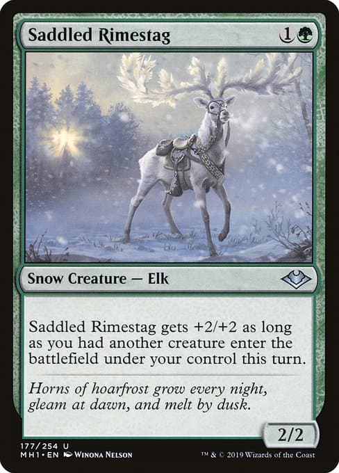 Saddled Rimestag #177
