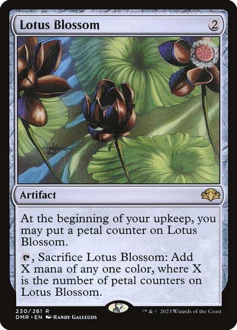 #230