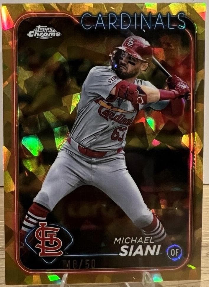 Michael Siani #USCS113