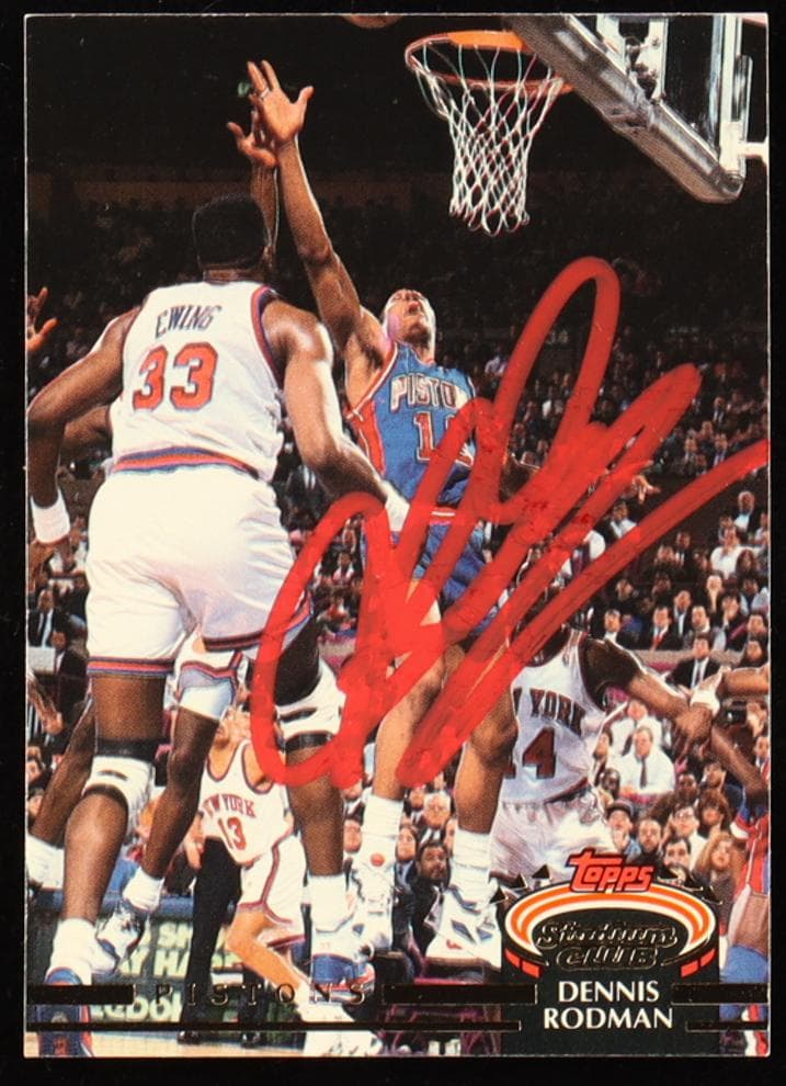 Dennis Rodman #314
