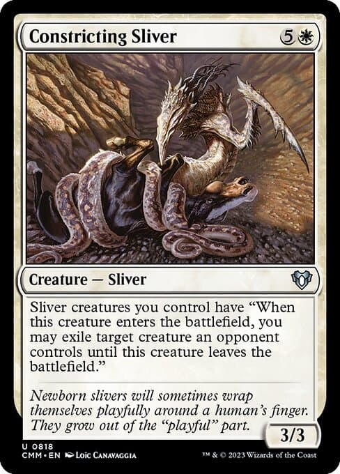 Constricting Sliver #818