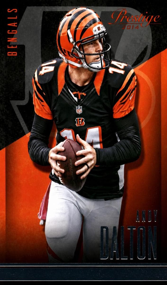 Andy Dalton 2014 panini