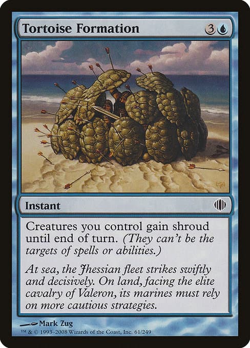Tortoise Formation #61