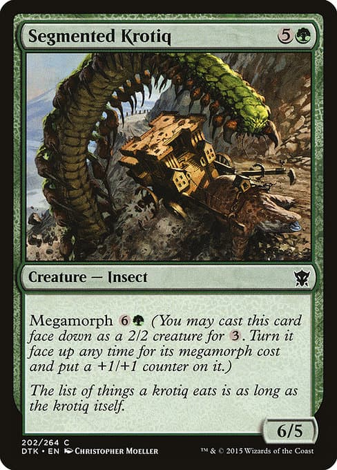 Segmented Krotiq #202