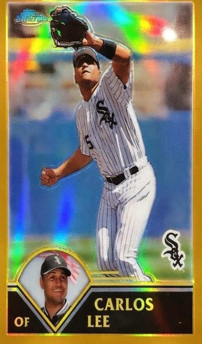 Carlos Lee trading card