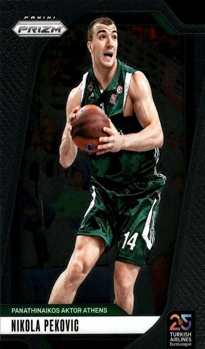 Nikola Pekovic 2024 panini