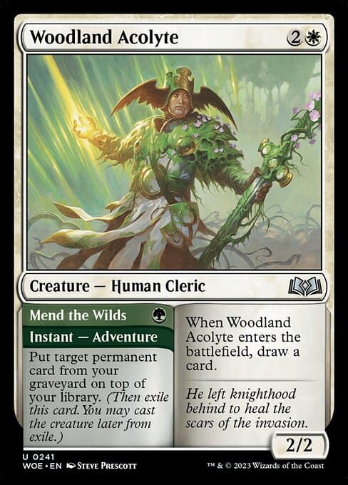 Woodland Acolyte // Mend the Wilds #241
