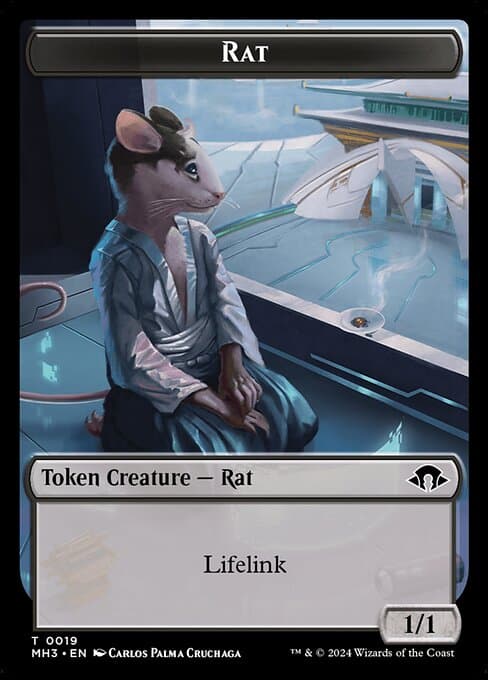 Rat #19