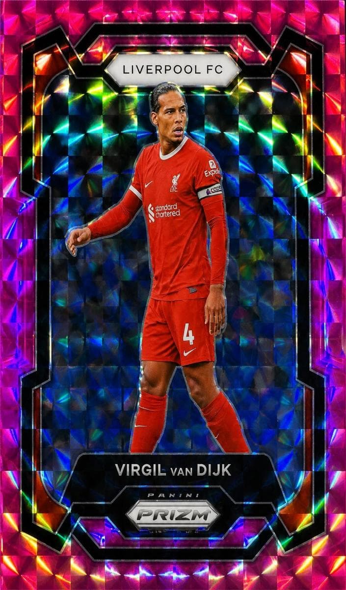 Virgil van Dijk #81