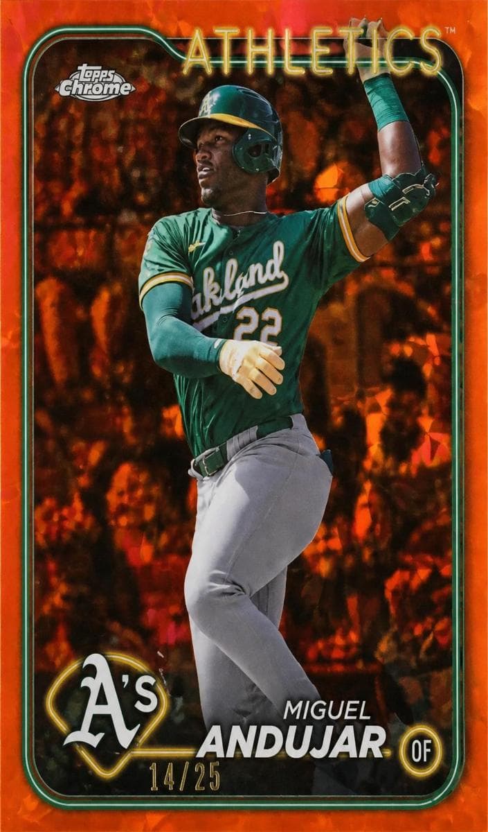 Miguel Andujar #USCS202