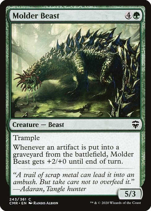 #243