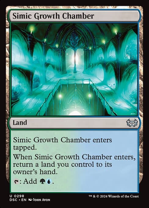 #293