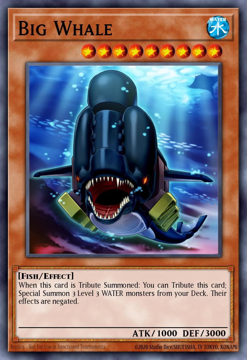 Big Whale #LTGY-EN008