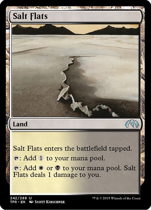 Salt Flats #310