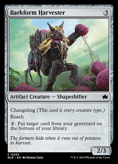 #243