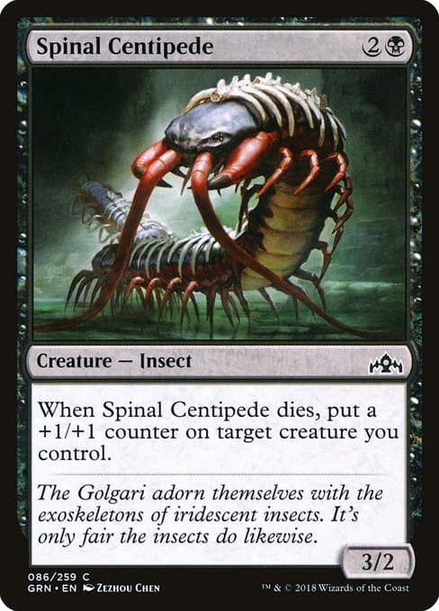Spinal Centipede #86