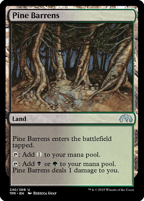 Pine Barrens #307
