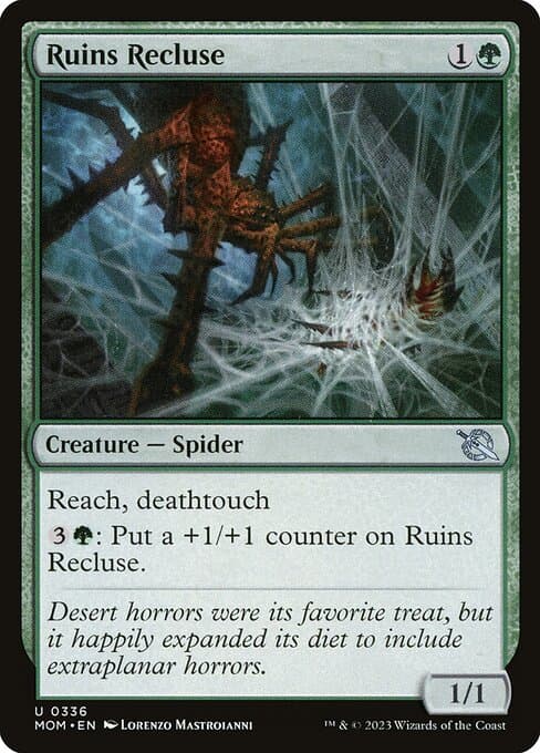 Ruins Recluse #336