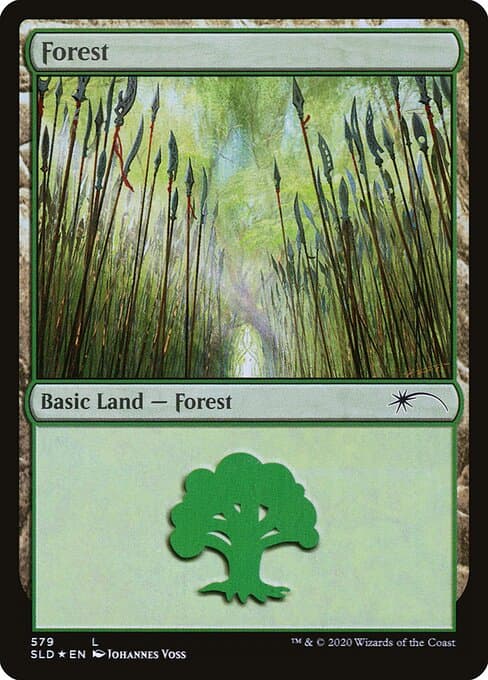 Forest #579