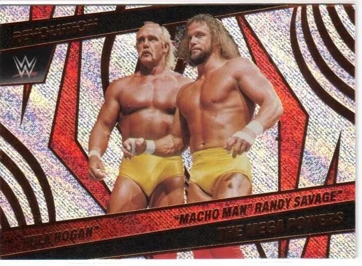 Hulk Hogan #131