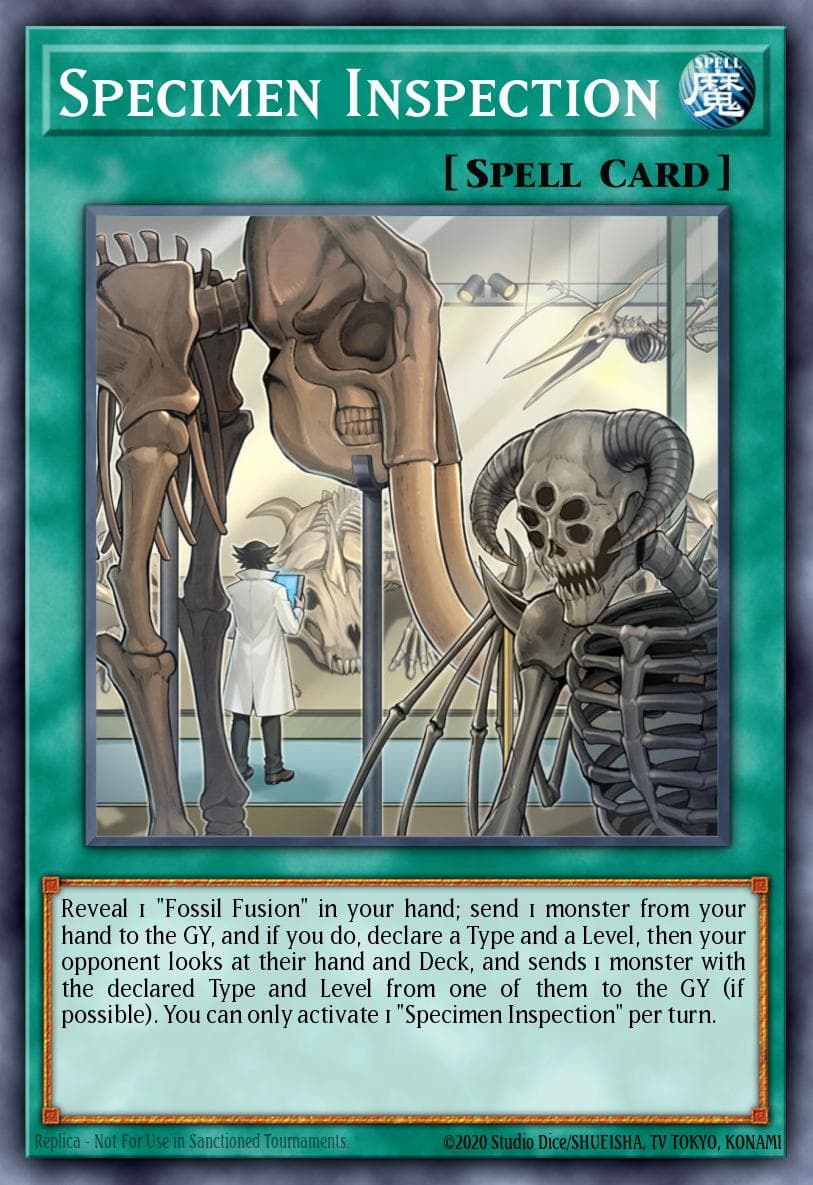 Specimen Inspection 2024 Yu-Gi-Oh! Battles of Legend: Chapter 1