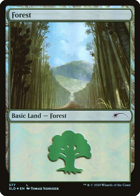 Forest #577