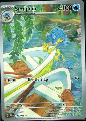 Simipour #102
