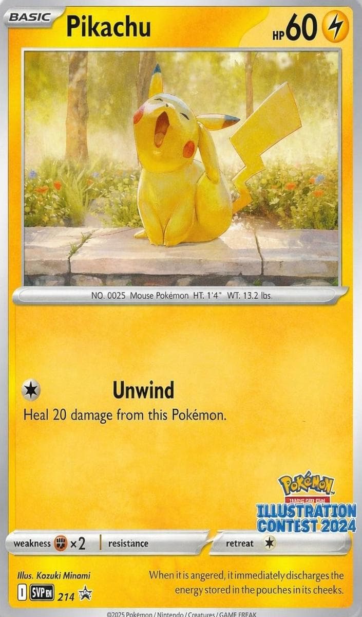 Pikachu #214