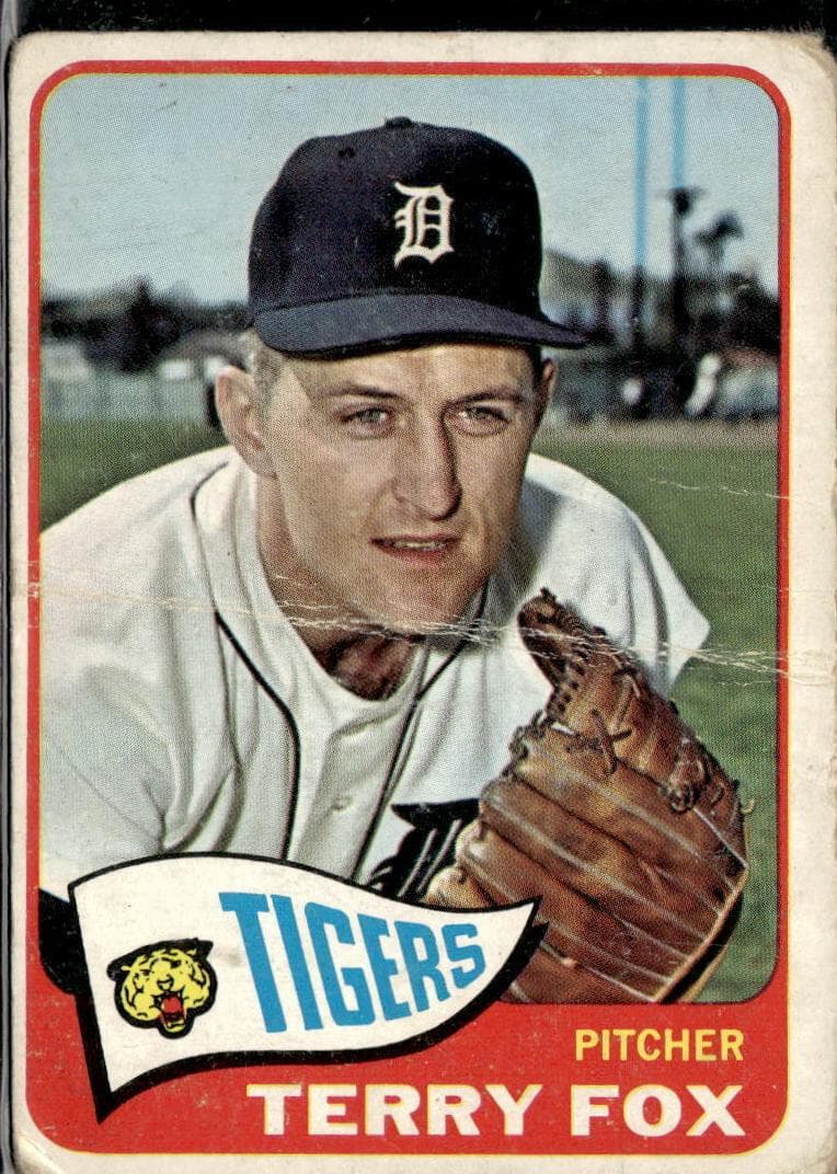 Terry Fox 1965 topps Topps