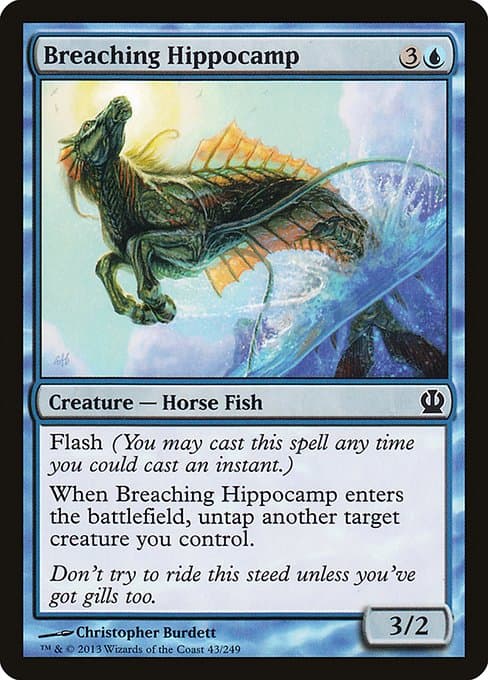 Breaching Hippocamp #290