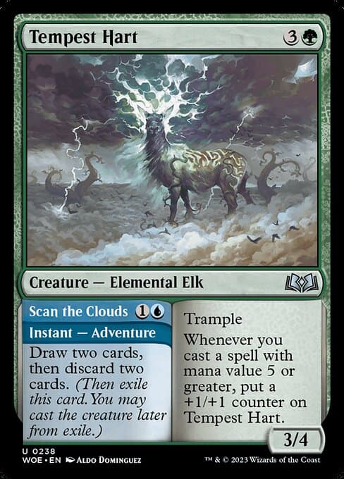 Tempest Hart // Scan the Clouds #238