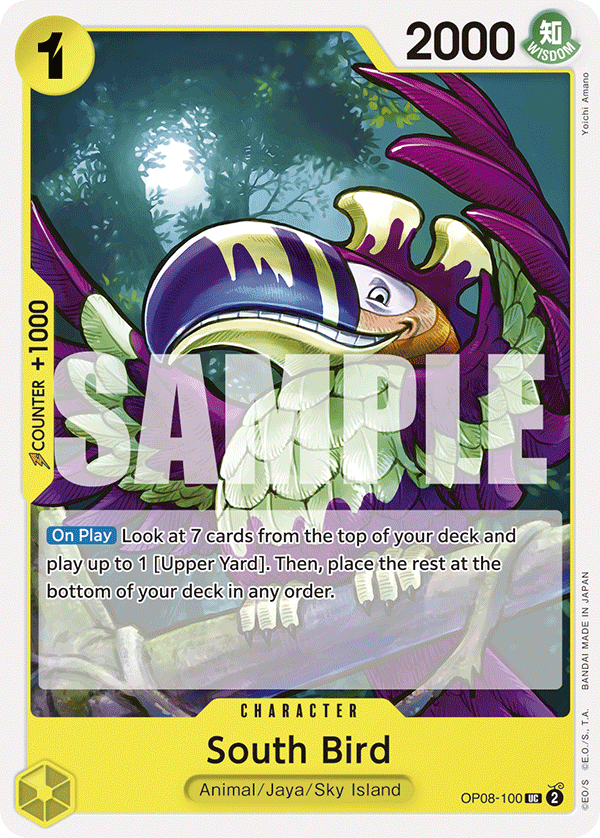 South Bird 2024 One Piece