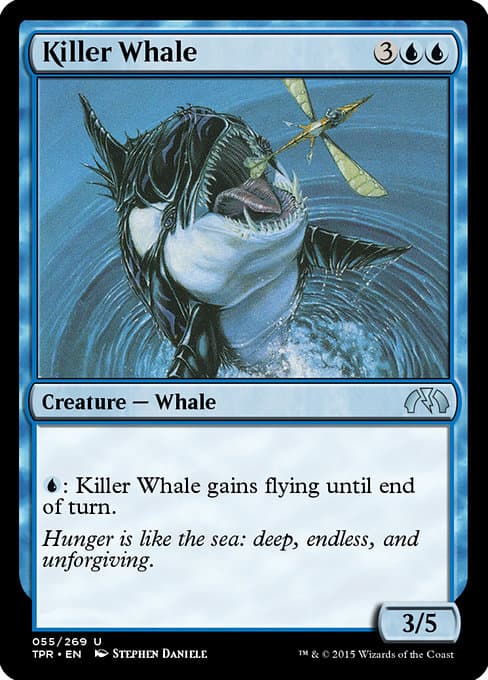 Killer Whale #76