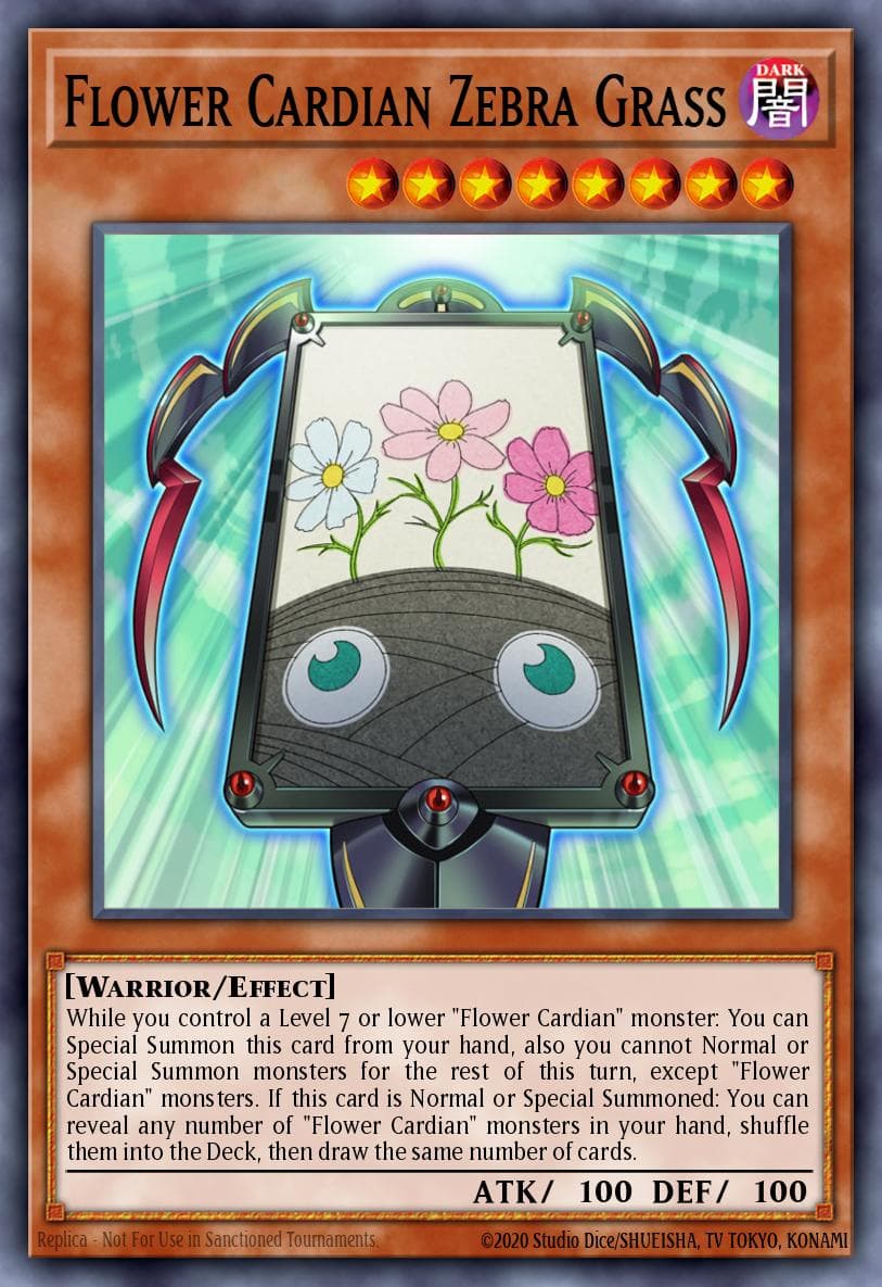 Flower Cardian Zebra Grass #DRL3-EN032