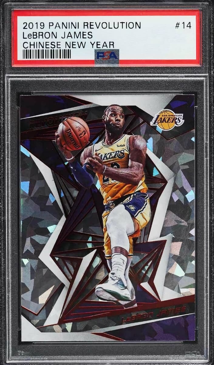 LeBron James #14