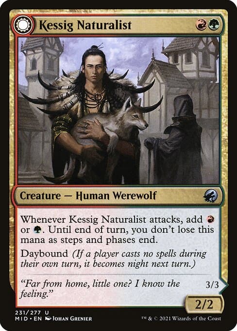 Kessig Naturalist & Lord of the Ulvenwald #231