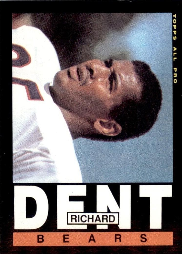 Richard Dent trading card