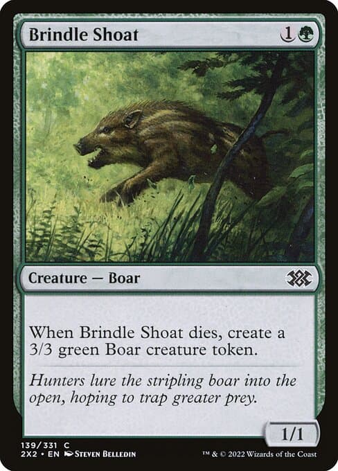 Brindle Shoat #139