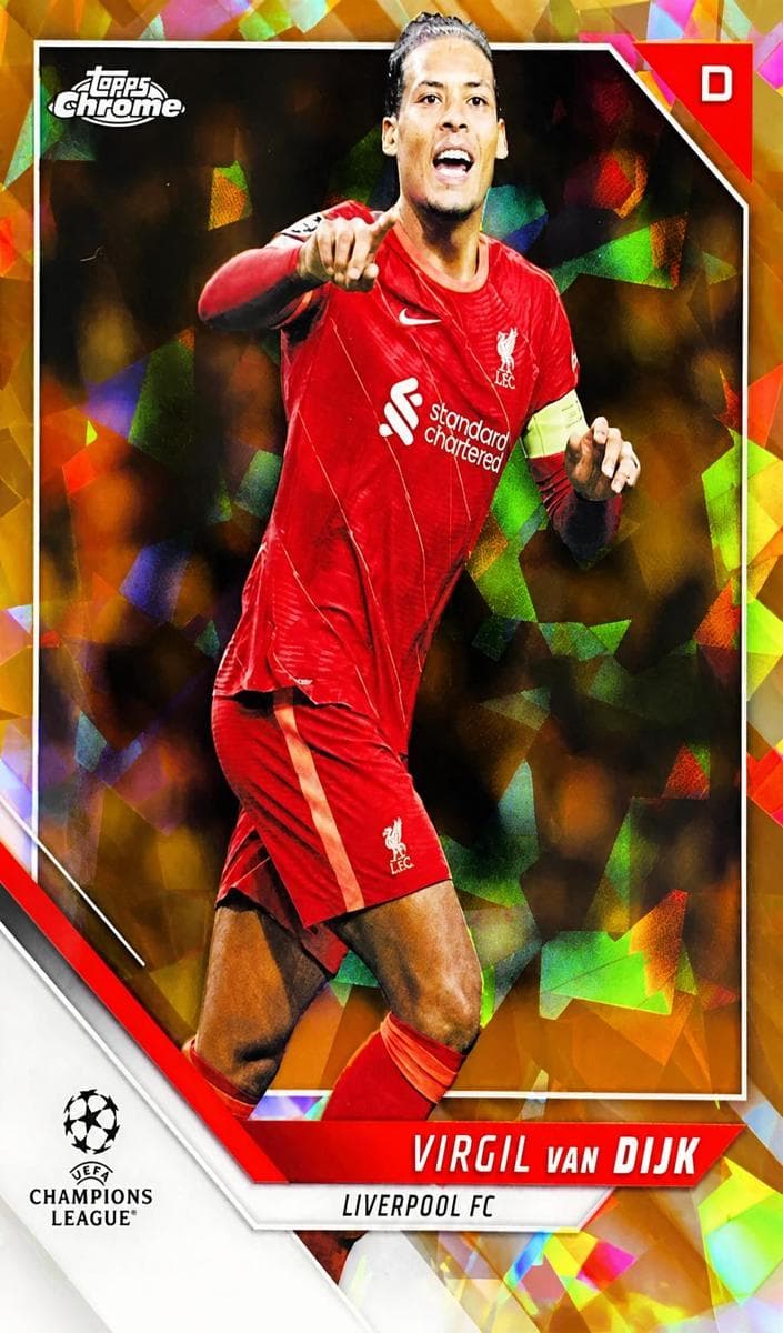 Virgil van Dijk #47