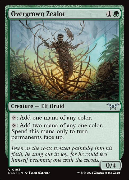 Overgrown Zealot 2024 Magic: The Gathering Duskmourn: House of Horror