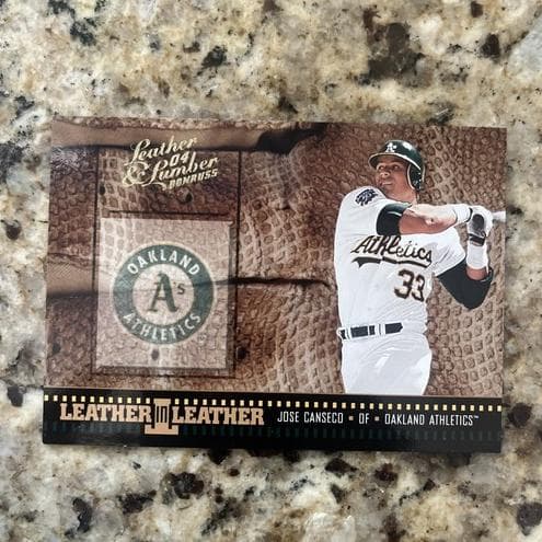 Jose Canseco 2004 panini