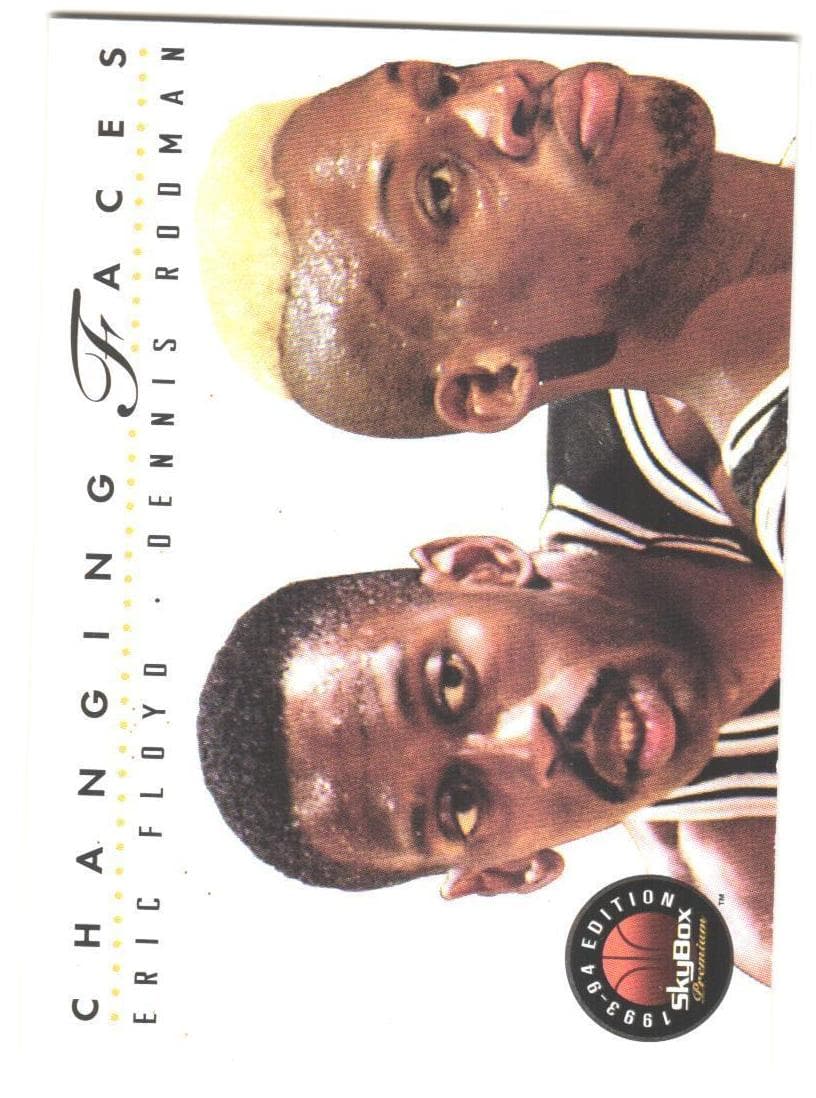 Dennis Rodman 1993 skybox