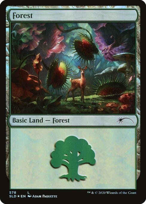 Forest #578
