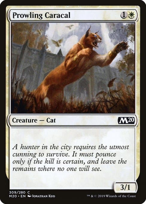 #17